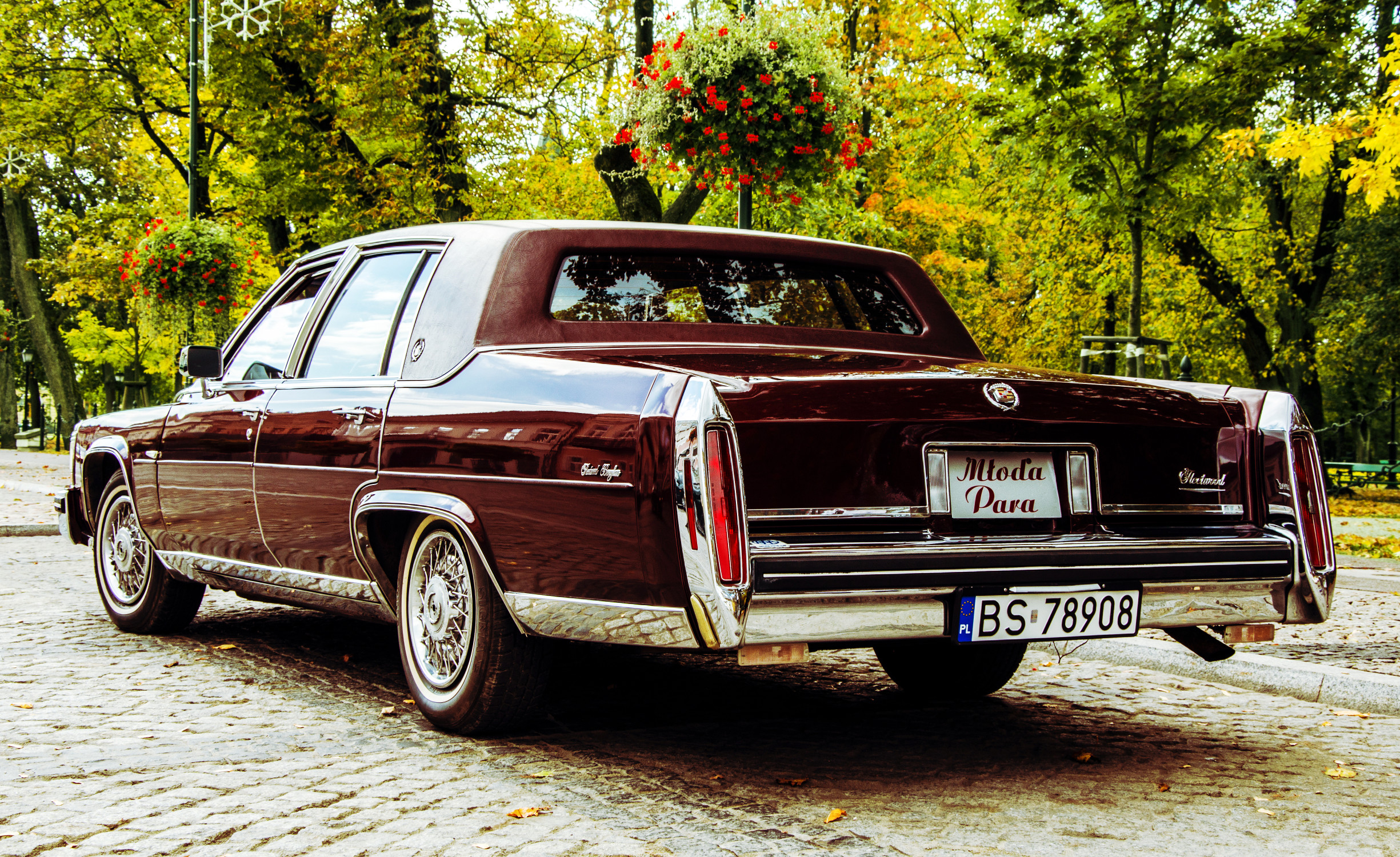 Limuzyna do ślubu Suwałki